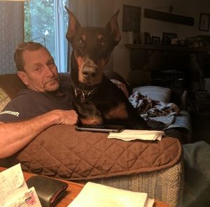 Meet your Posher, Steve